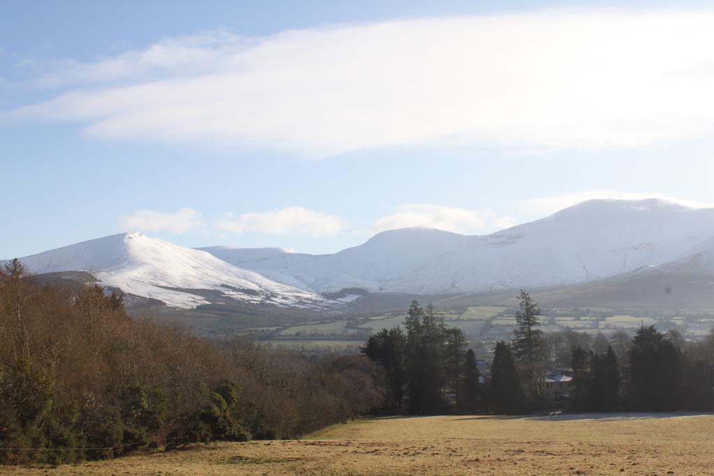 Ballinacourty House Bed & Breakfast Tipperary