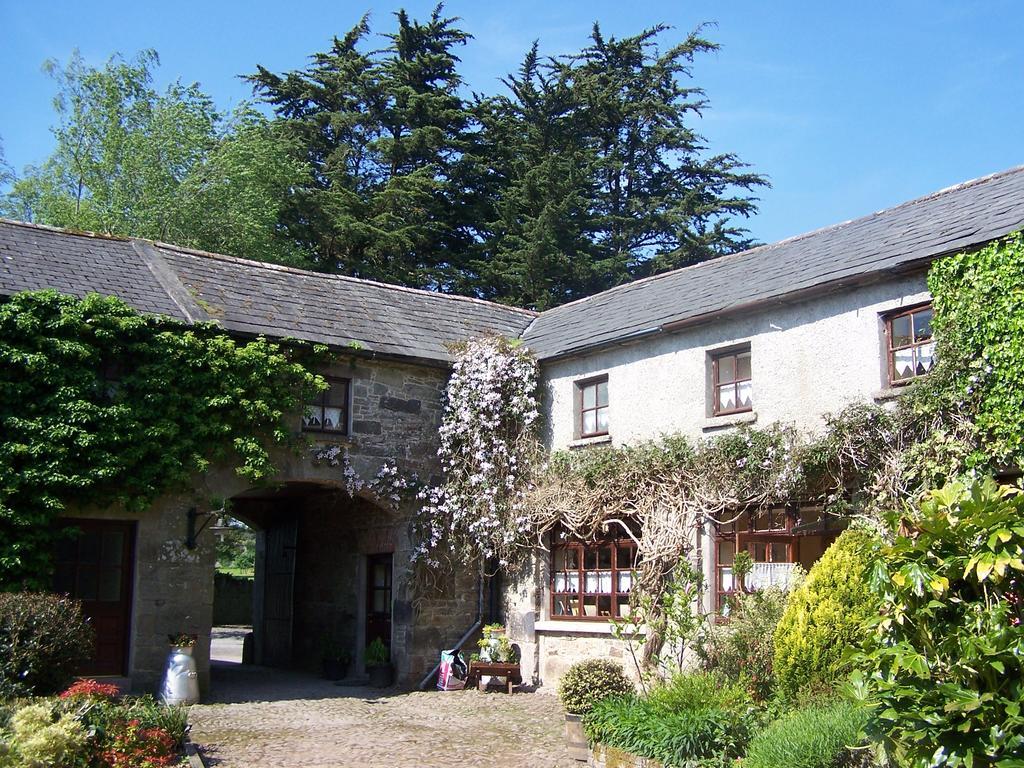 Ballinacourty House Bed & Breakfast