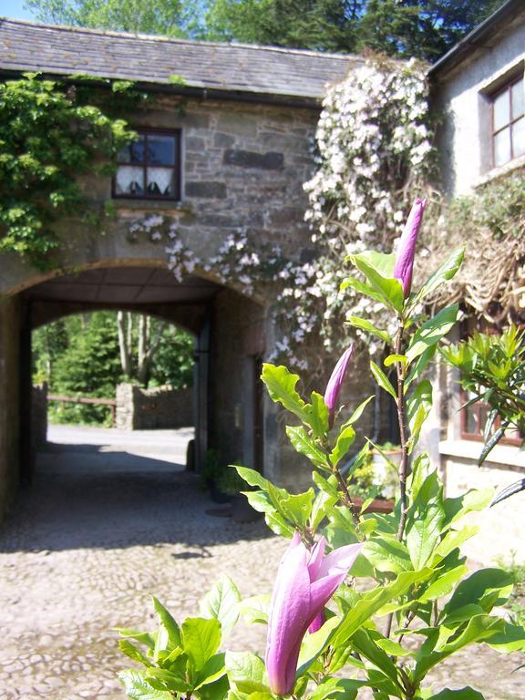 Ballinacourty House 3*