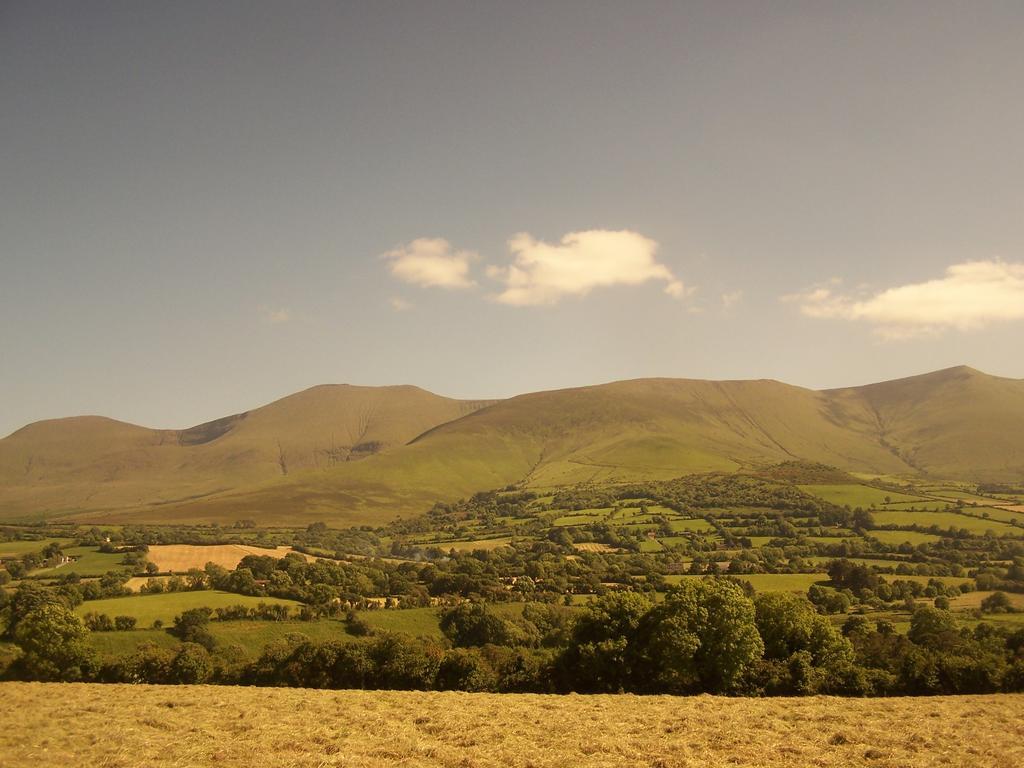 Ballinacourty House Bed & Breakfast