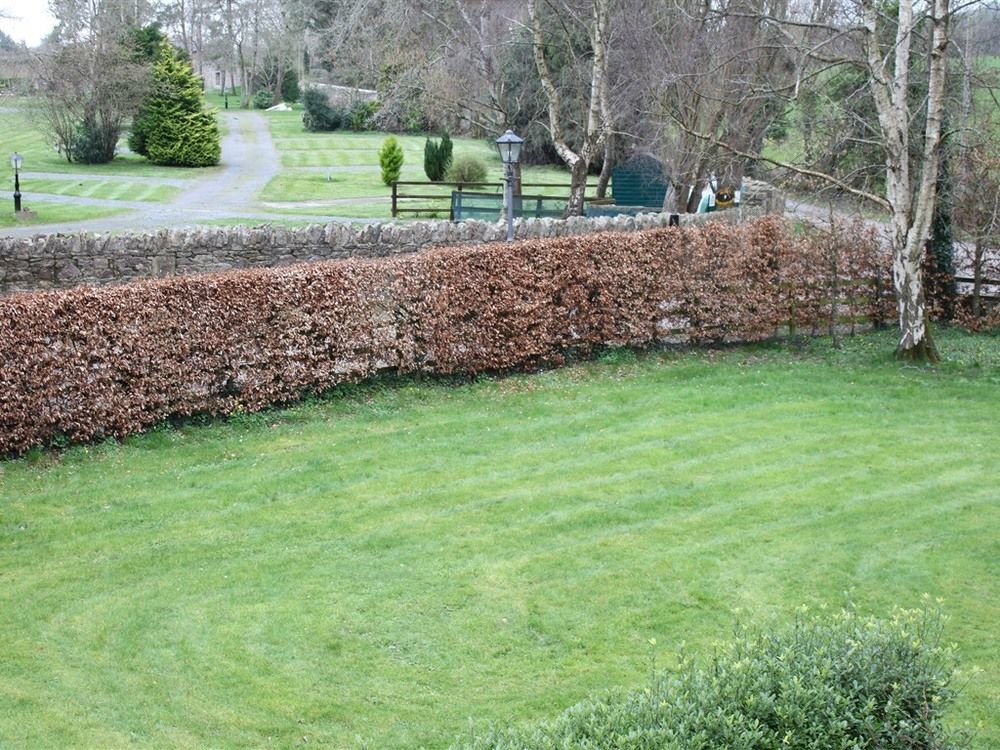 Ballinacourty House Bed & Breakfast