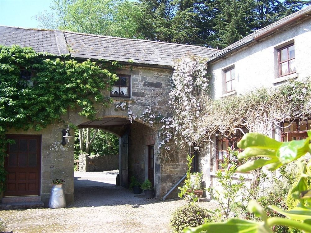 Ballinacourty House Bed & Breakfast