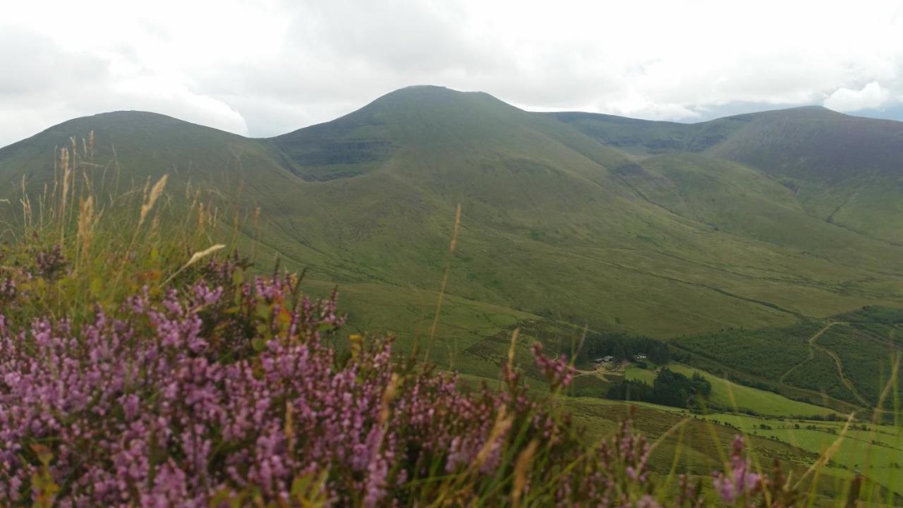 Ballinacourty House Bed & Breakfast 3*